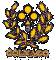 CO02 ADESIVO COLNAGO Dimensioni/Dimensions: 40x40 mm